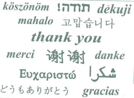merci de visite mon blog